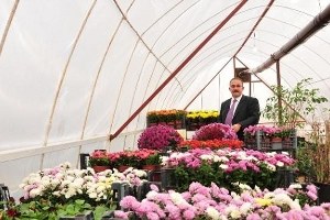 Afşin Belediyesi Sera Kurup Çiçek Üretiyor