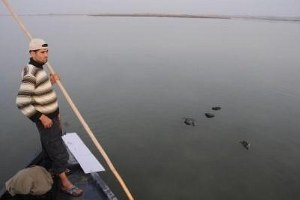 Akyatan Lagünü`nde Kuş Ölümleri Korkutuyor