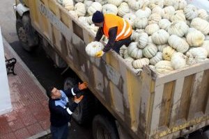 Belediye Aşevi`ne 14 Ton Balkabağı Bağışladı