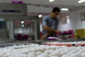 Kayseri`de toptan yumurta fiyatları arttı