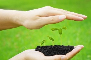 Bergama`da `Tohum Semineri` Yapıldı