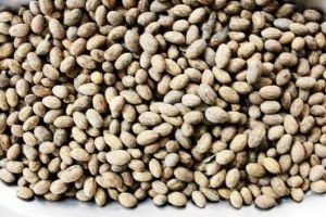 Burhaniye`de Zeytin Çekirdeği Kalorifer Yakıtı Oldu