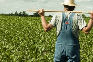 İhsangazi`de ÇKS Başvuruları