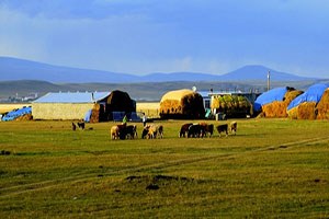 Çiftliklerin satış fiyatı yüzde 36 arttı