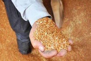 ÇKS Başvuru Süresinin Uzatılması Talebi