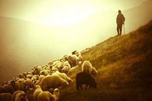 Tarsus`ta Çobanlık Kursunu Bitirenlere Sertifikaları Verildi