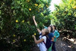 Çukurova Üniversitesi`nde Yabancı Konukları Ağırladılar