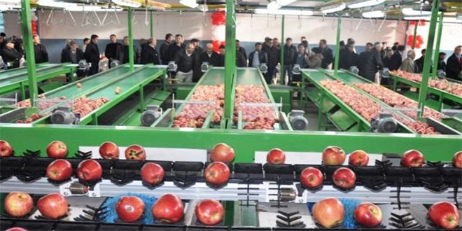 `Elma Üretimi Modern Tekniklerle Yapılmalı`