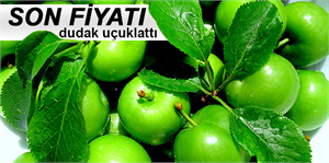 Can eriğin kilosu 300 TL!