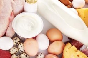 Et ve Süt Ürünleri Perakendeciliği Düzenlendi