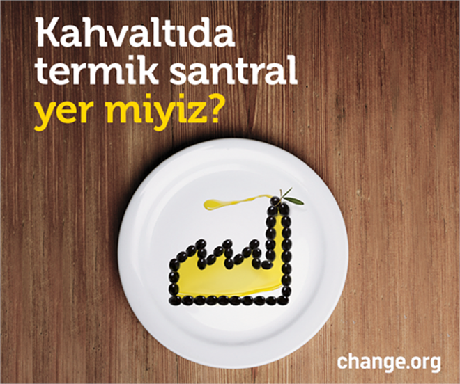 Türkiye`nin zeytinliklerinin ölüm fermanına hayır!