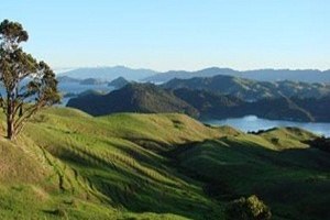 2B taşınmazlarının satışından 3,2 milyar lira tahsil edildi