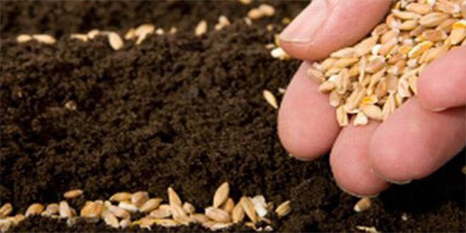 Araban`da Sertifikalı Tohum Dağıtımı