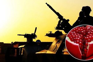 Meyve Ticaretine Başlayan IŞİD, Zehirli Nar mı Satıyor