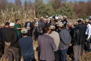 Kırıkkale`de `Tarla Günü` Etkinliği Düzenlendi