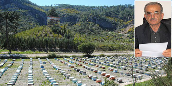 Manavgat`ta 145 Arıcı Yaklaşık 92 Bin Lira Destekleme Aldı