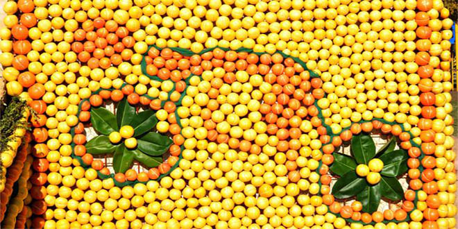 Uluslararası Mersin Narenciye Festivali`Ne Doğru