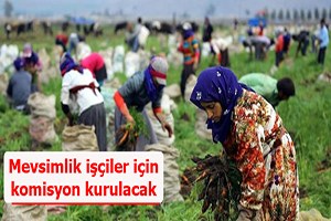 Mevsimlik işçiler için komisyon kurulacak
