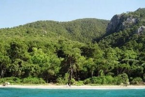 Milli Parkta Zeytin Toplama İhalesine Yürütmeyi Durdurma