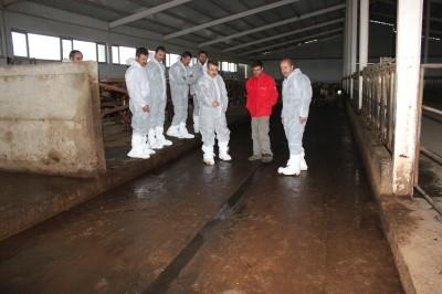 Muş`ta Süt Sığırcılığı Eğitimi Verildi