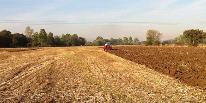 İstanbul`un 8 Katı Alanın Nadasa Bırakılması Kabul Edilebilir Değil