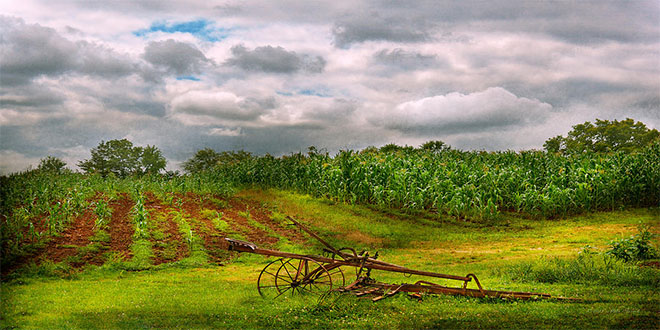 Kırklareli`de `Organik Tarım` Konferansı Düzenlendi