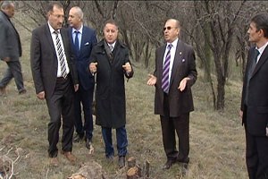 ODTÜ`de Ağaç Gerginliği