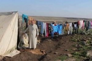 Pamuk Bitti, Yol Göründü