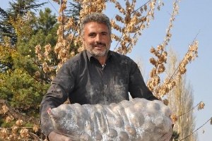 Patateste Verim Düştü, Fiyat Yükseldi