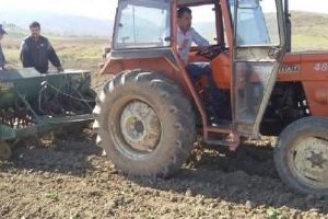 Personelin Maaşlarını Ödemekte Zorlanan Belediye Başkanı 80 Dönümlük Tarlaya Buğday Ektirdi