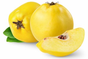 Denizli, Ruslara Ayvayı Sevdirdi