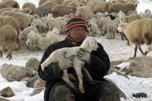 Mehdi Eker: Sertifikalı Çoban Projesi Çok Başarılı Gidiyor