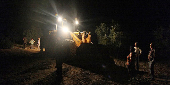 Soma`da Zeytin Nöbeti