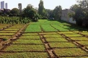 İstanbulu`un Tarihi Bostanları İmara Açıldı