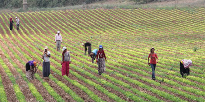 AK Parti`den Tarım İşçileri İçin Meclis Araştırma Talebi