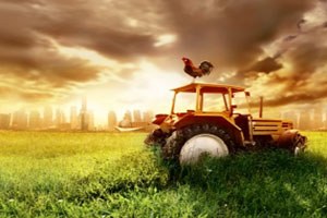 Afetler, Çiftçilerin Tarım Sigortasına İlgisini Artırdı