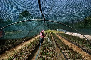 Tarım ve İnsan Fotoğraf Yarışması Sonuçlandı