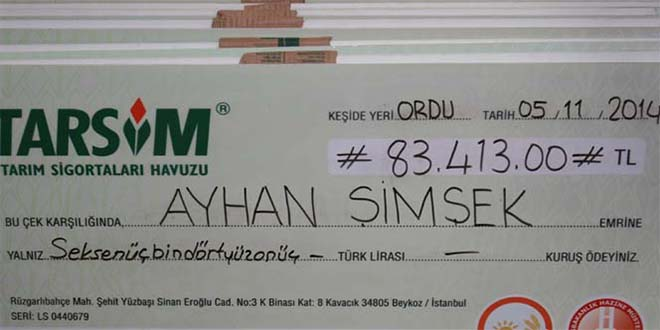 Tarsim Ordu`da Hasar Ödedi