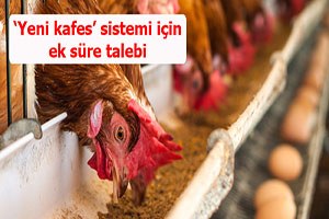 `Yeni kafes` sistemi için ek süre talebi