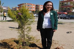 Yılda Ortalama 1 Milimetre, 10 Yılda 1 Santim Toprak Eriyor