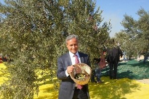 Yurttaş, Zeytin Üretimine Dikkat Çekti