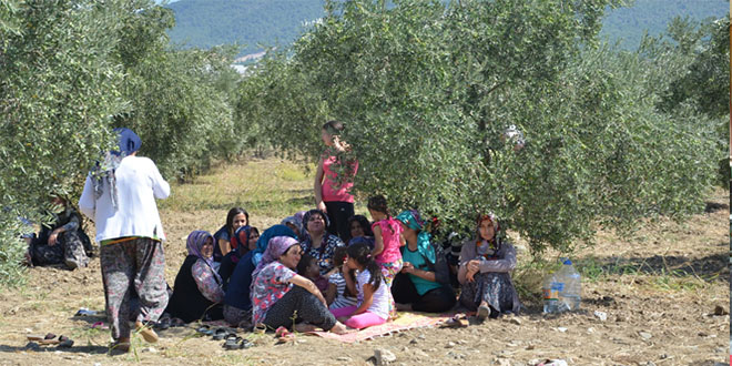 Zeytinlik Nöbetine Devam Eden Köylülere Güvenlik Müdehalesi