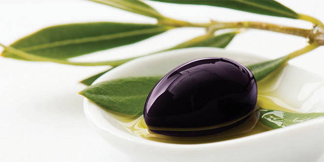 Ayvalık`ta `Zeytinyağı, Hayat Bağı` Paneli