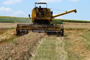 14 Milyon Tarlada Kaldı