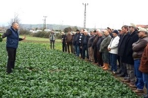 Bafra`da Tarla Günü Düzenlendi