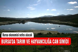 Bursa`da tarım ve hayvancılığa can simidi