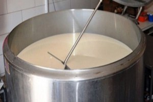 Çiğ Sütün Değerlendirilmesine Destek