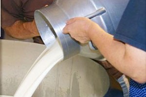 Çiğ Süt Satın Alımına Sözleşme Düzeni