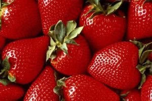 Mersin`de çilek hasadı başladı