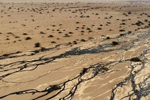 İsrail`de çevre felaketi